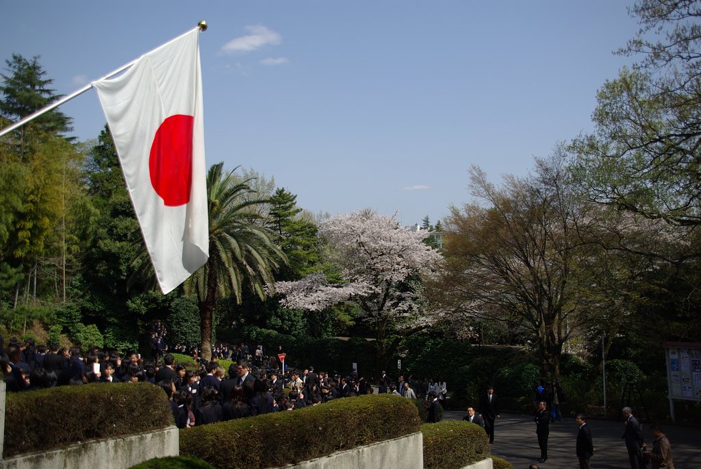 桜と入学式