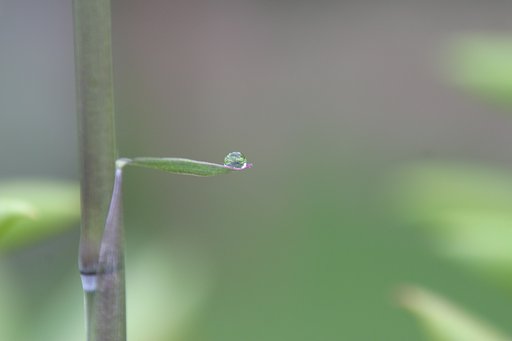 水滴
