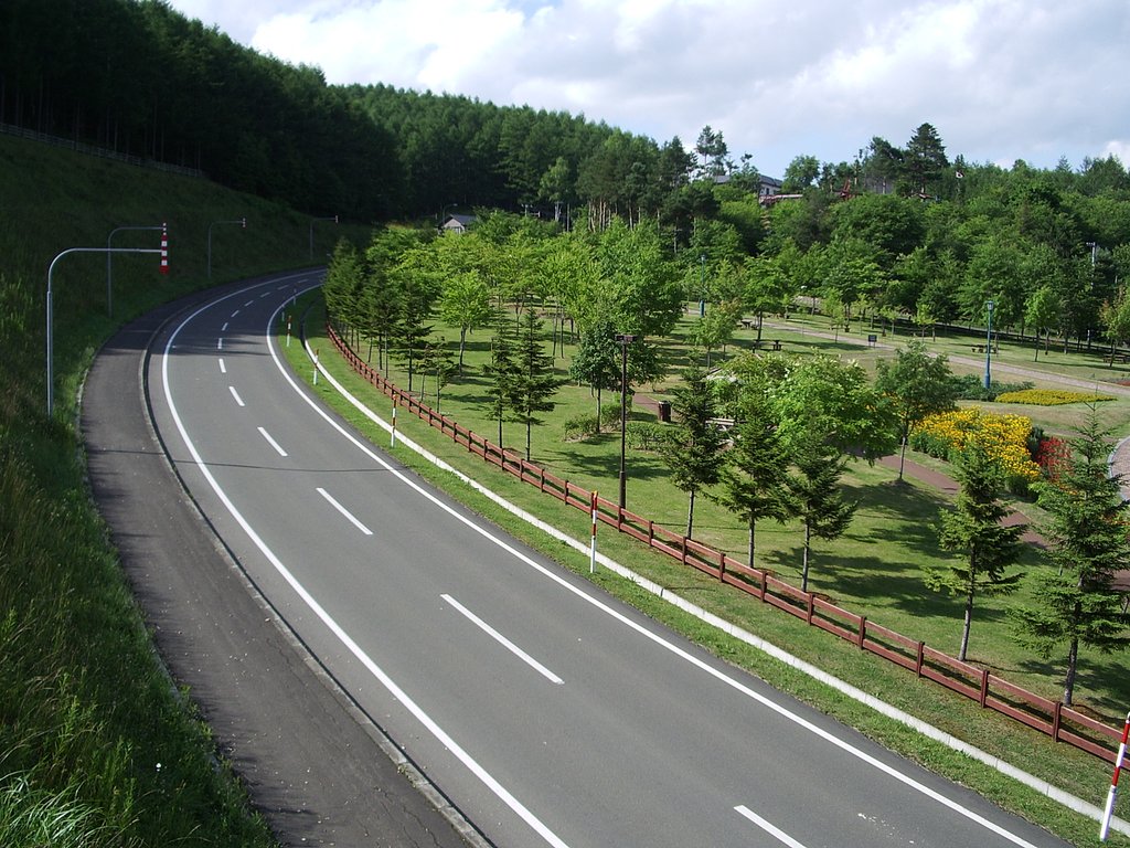 緑が綺麗なので・・