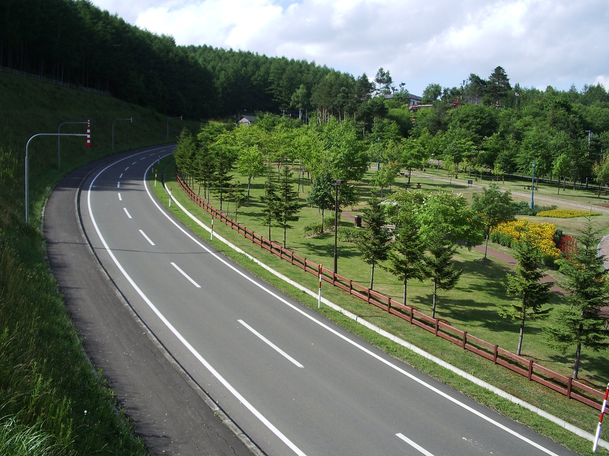 緑が綺麗なので・・