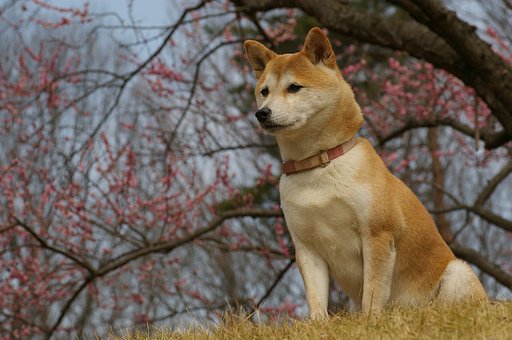 やっぱり自分らしく