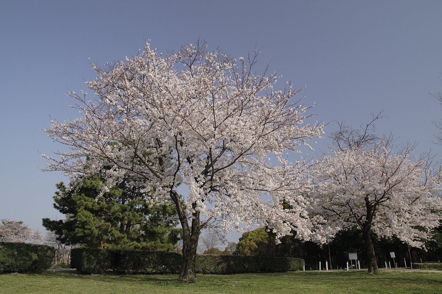 待ちかねた青空