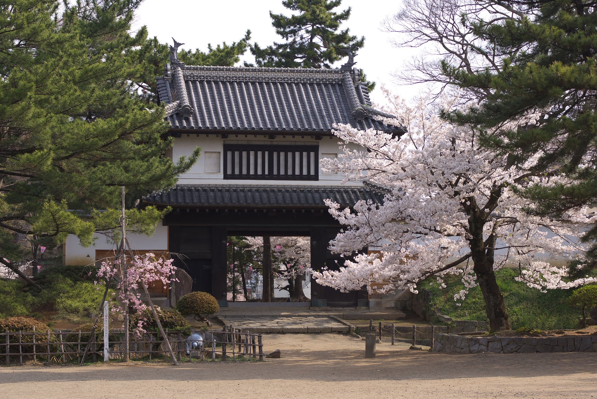 亀城公園・・・