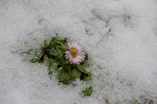 えっ、なんで雪なの？