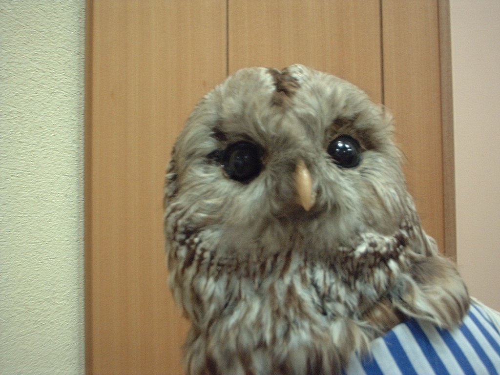 目元がポイント