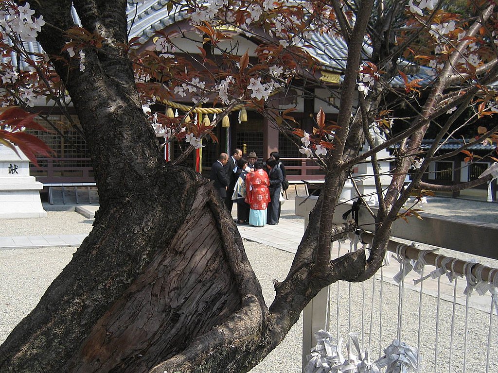 お宮参り