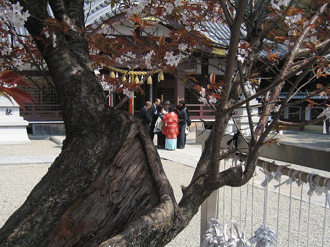 お宮参り