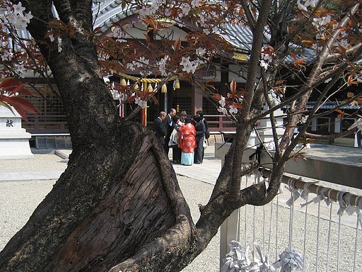 お宮参り