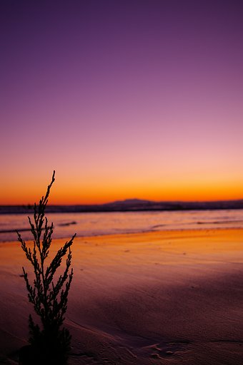 夕暮れ