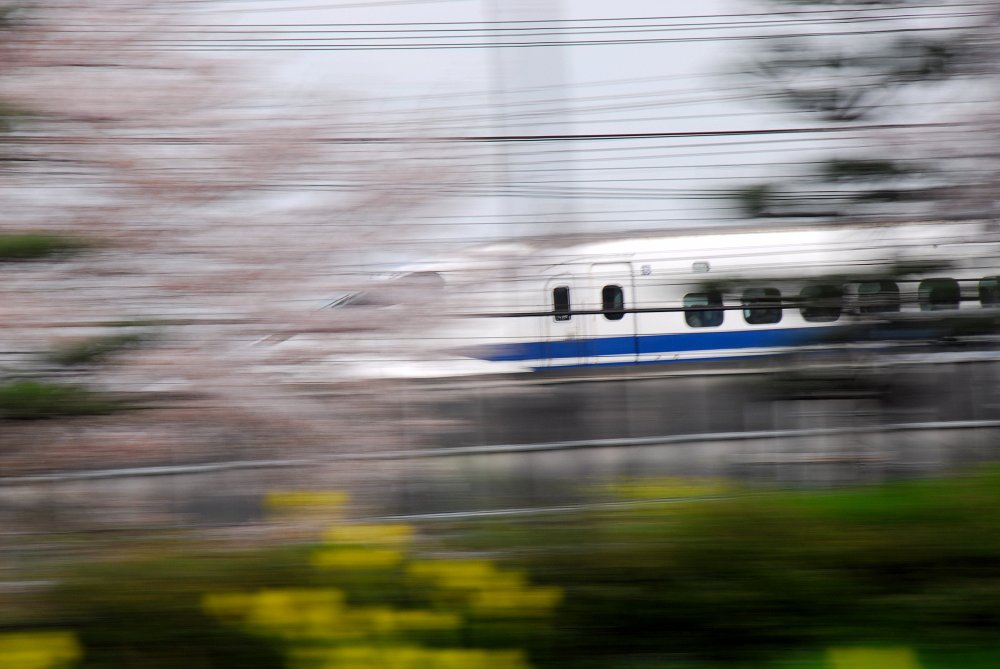春の疾走