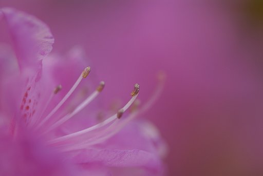 Purple space