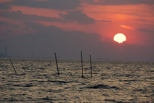 静かな紅