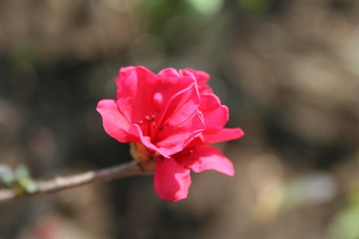 イメージ・・