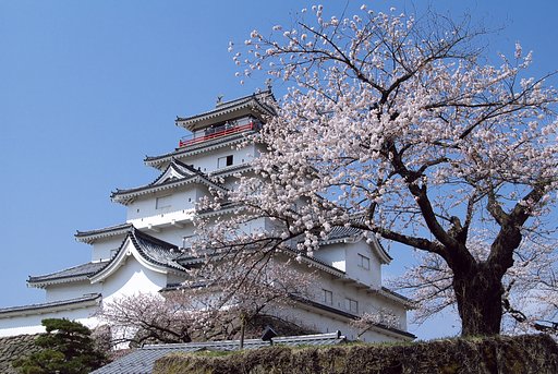 おひさしぶりー