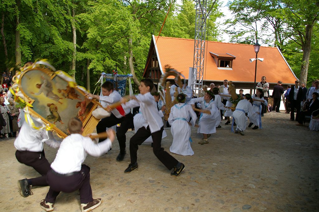 board feletrons