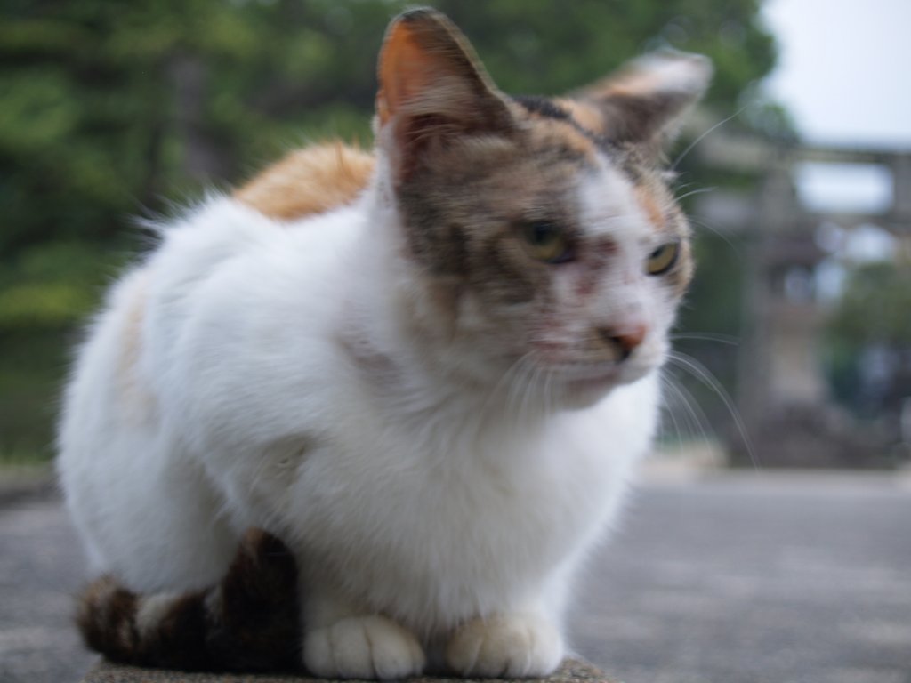 チラッと横目！？