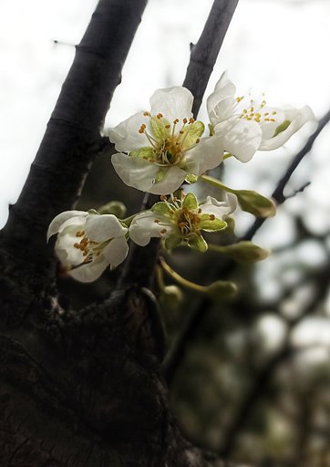 3月18日の写真