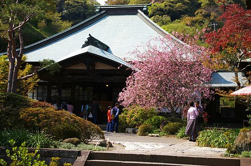 海棠咲く寺