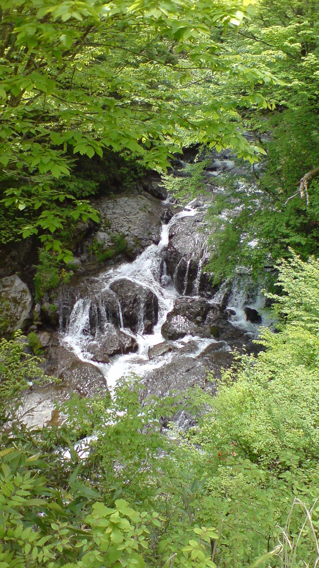 木陰から覗く滝