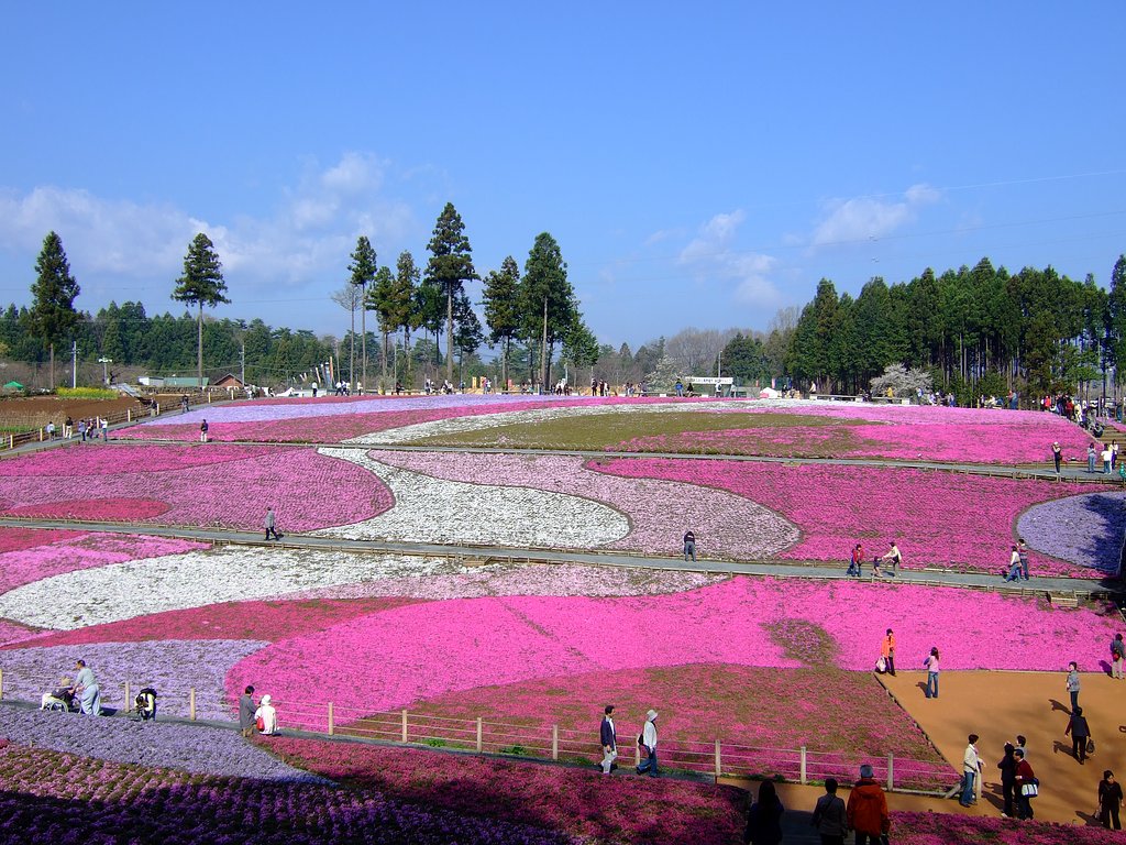 羊山公園・・・