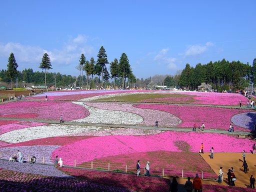 羊山公園・・・