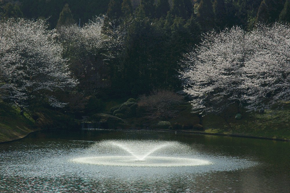 庭園