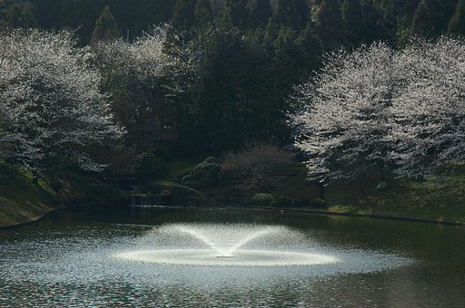 庭園