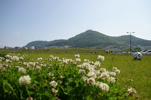 休日の昼下がり