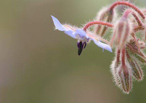 5月18日の写真
