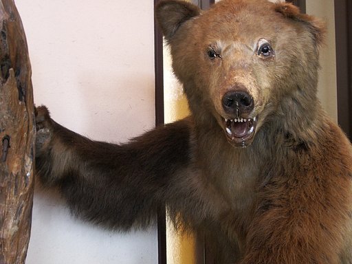 こんにちは