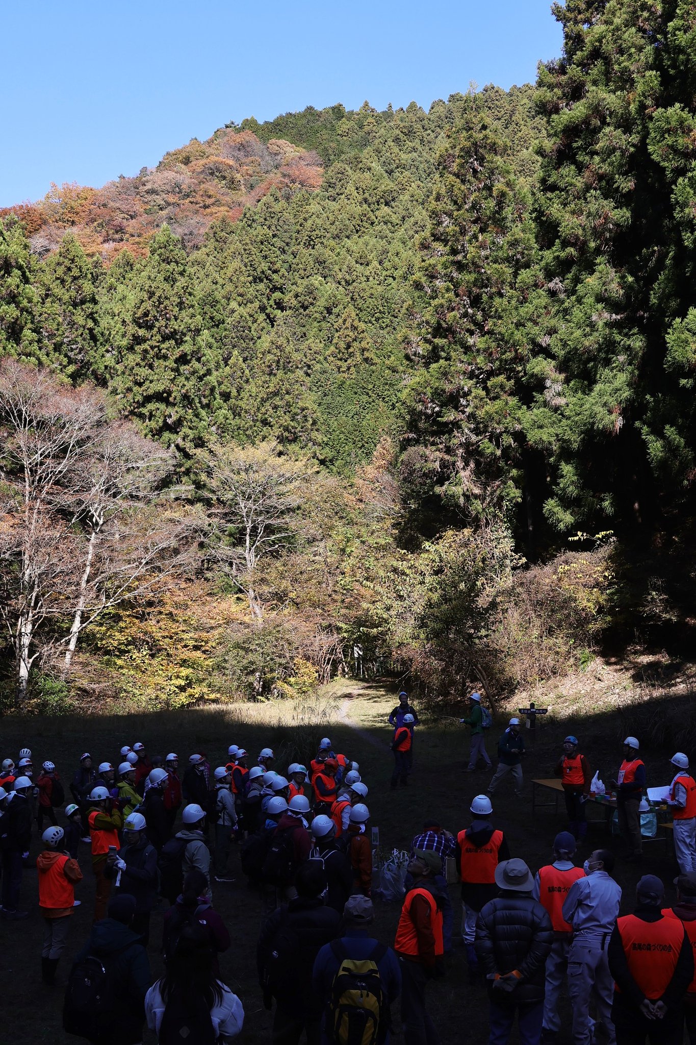 山の朝その２