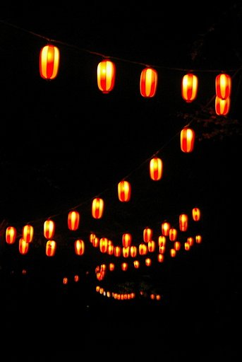 夜桜見物　＃１