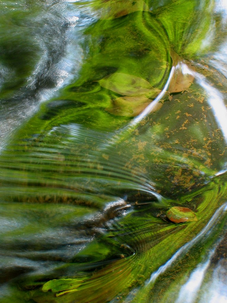 若草色の流れ