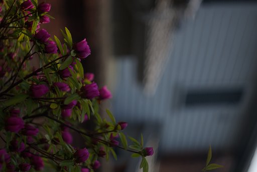 神戸異人館２