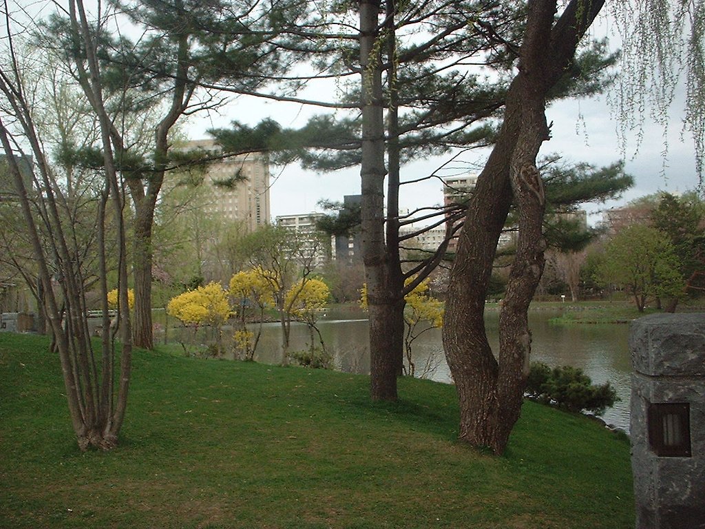 公園