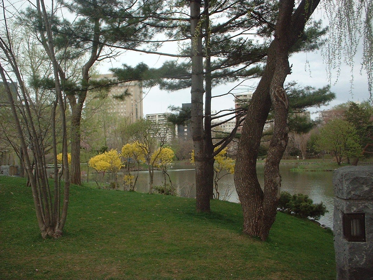 公園