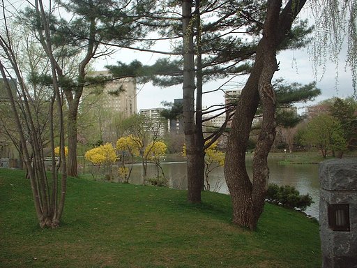公園