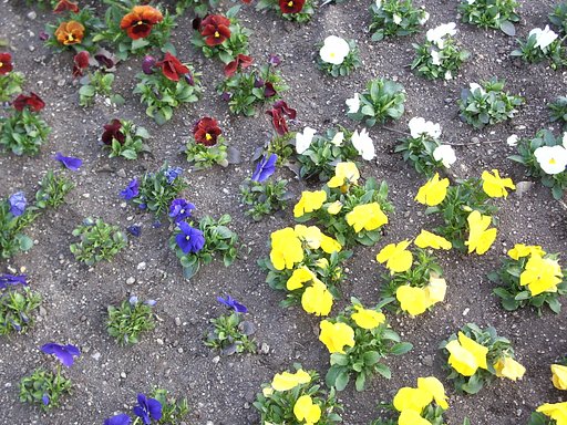 大通り公園は・・・