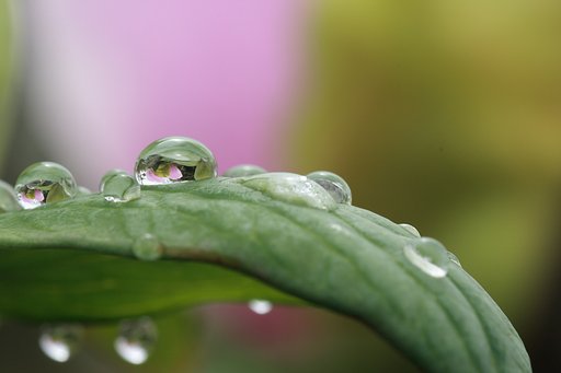 雨上がり