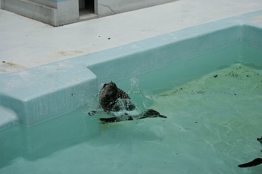 落ちました