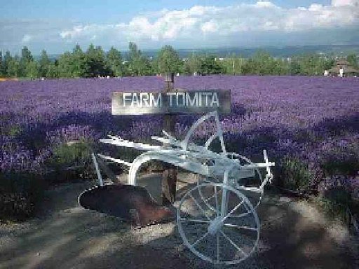 画像ちいさくしすぎました〜；