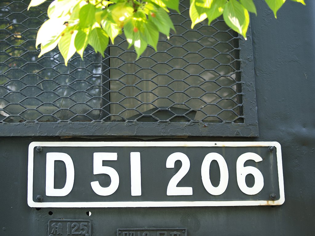 D51 204