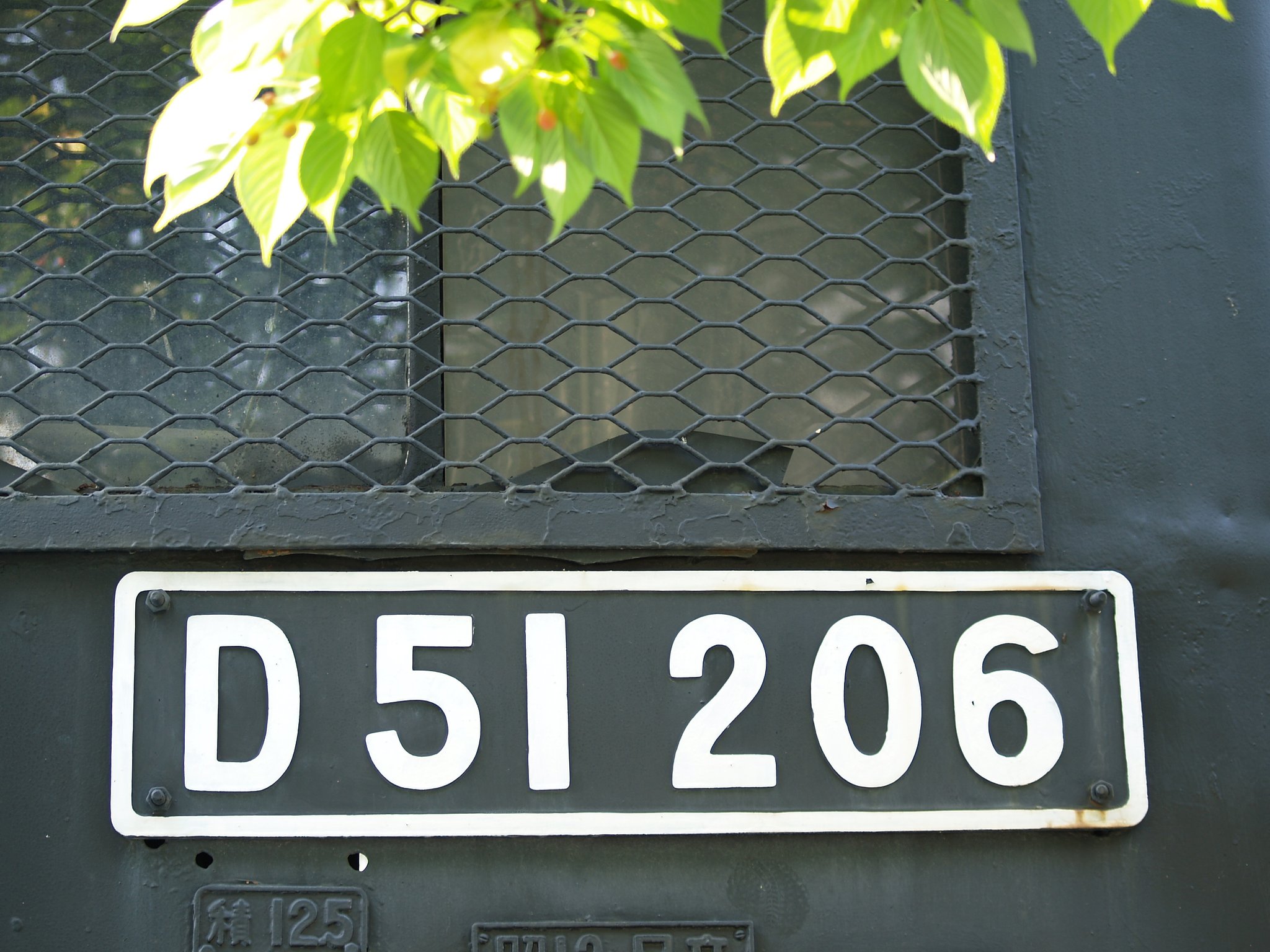 D51 204