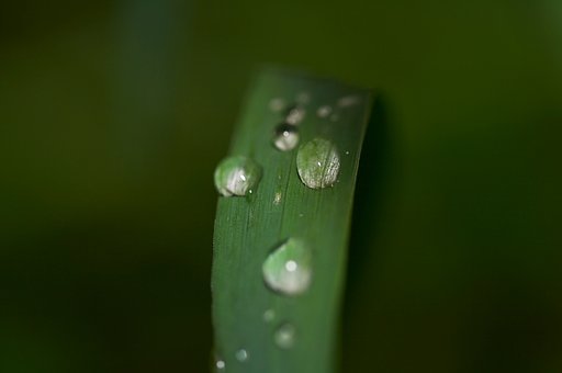 わっ、撮られた！