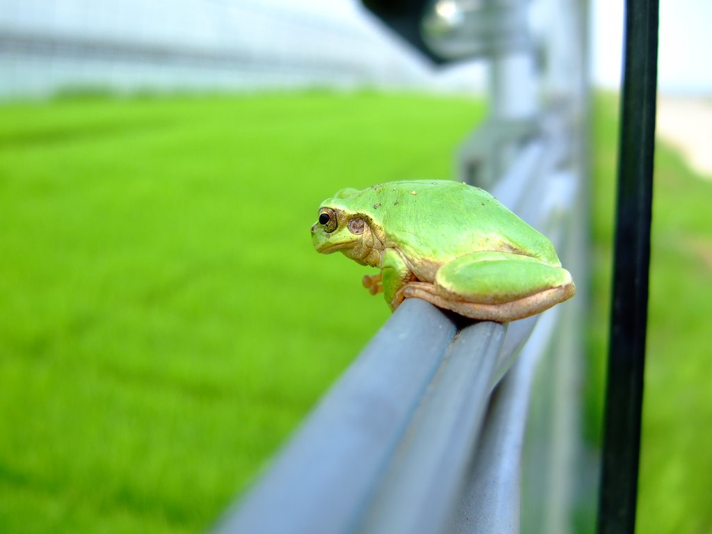 どーしよーかなぁ・・・