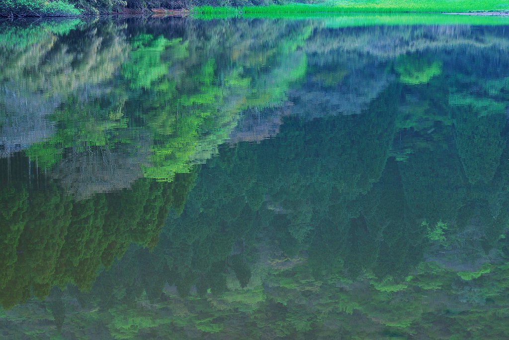 Reflection（反映）