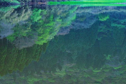 Reflection（反映）