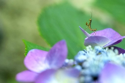 もう一度テスト、、、