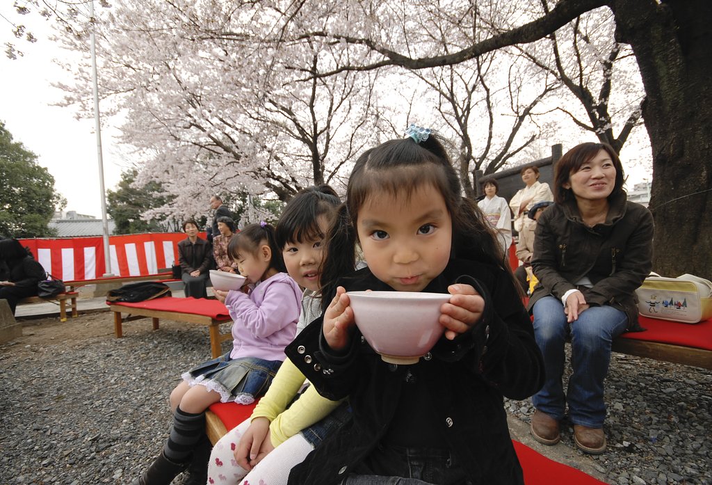 桜の下で