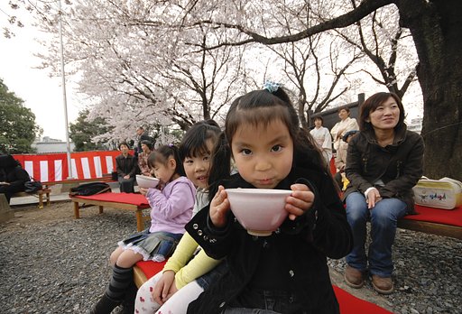 桜の下で